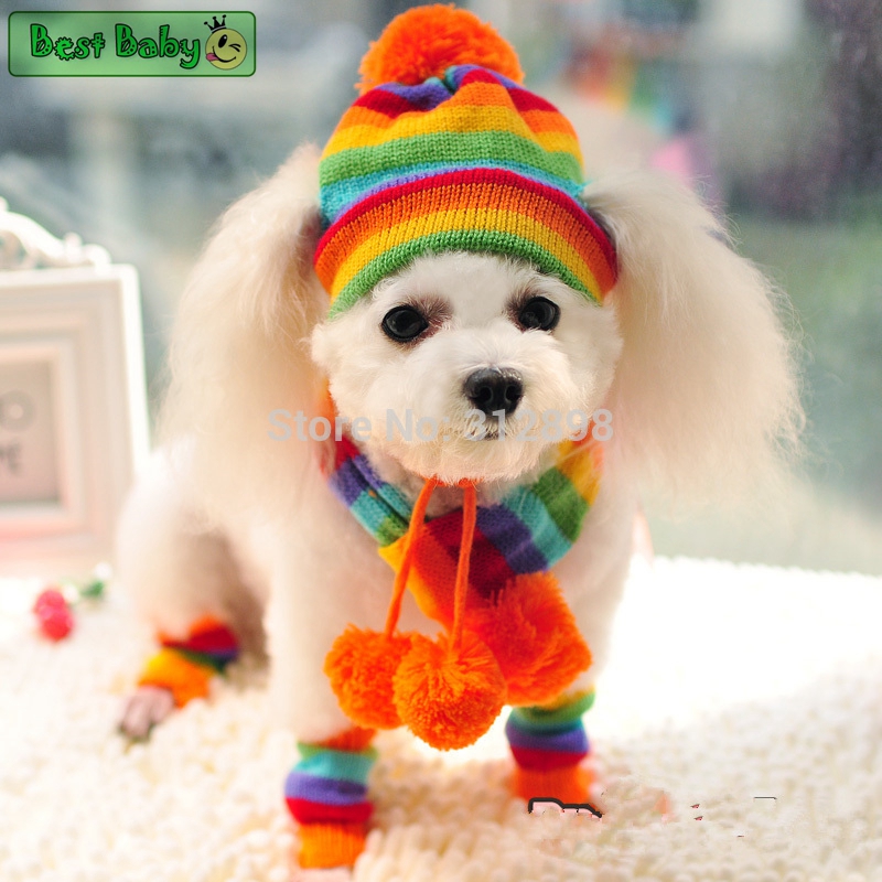 Musim dingin Anak Anjing Pelih - Baby Products Best ulasan dan harga